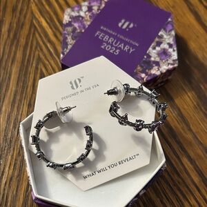 Bomb 💣 Party NWT Hoops for Days Hematite/Amethyst Hoop Earrings